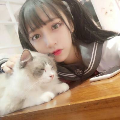 暴打魏蜀吴游戏fan最新版下载